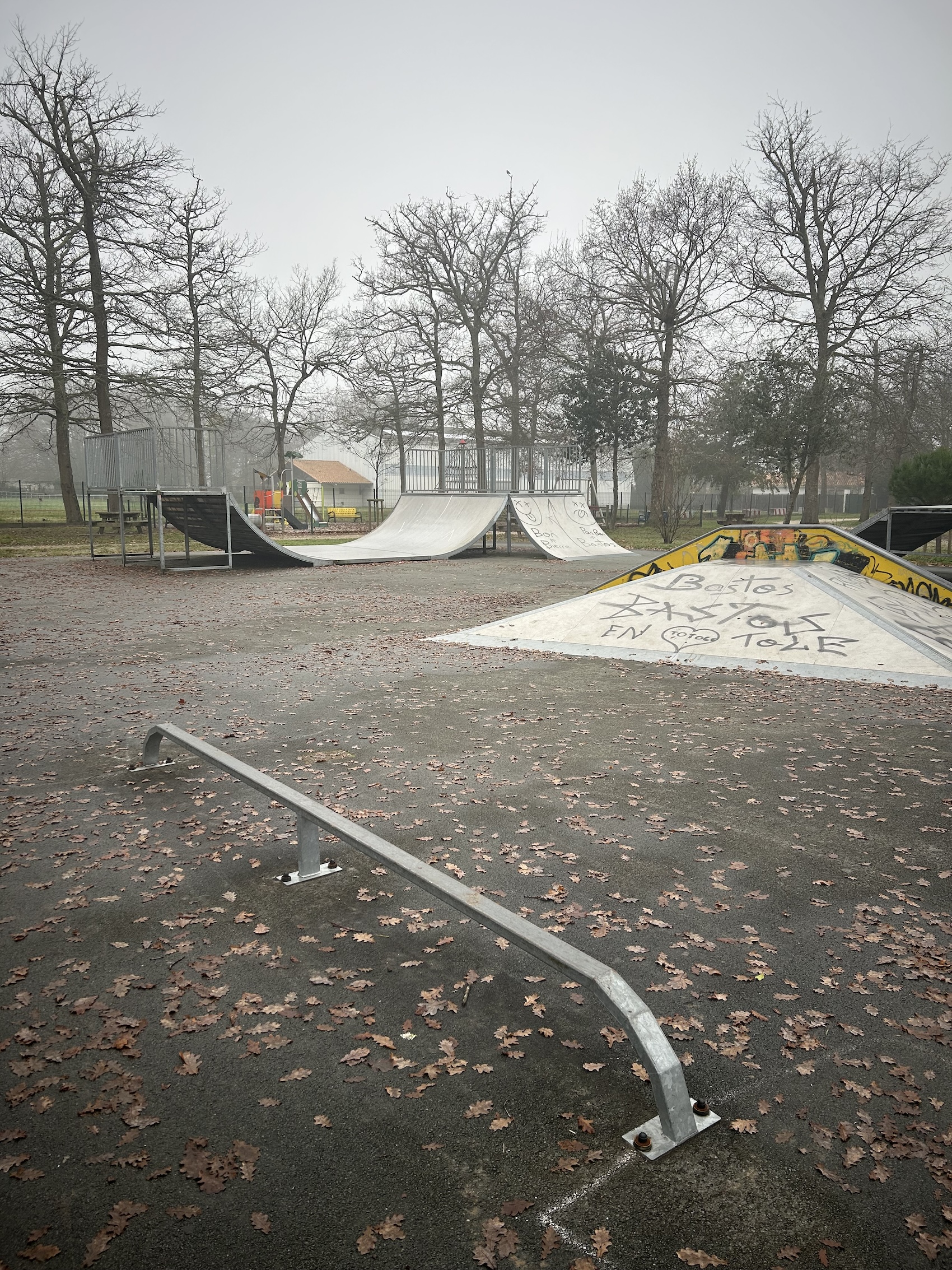 Étaules skatepark